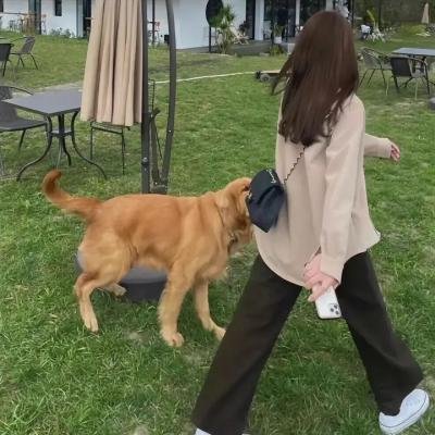 喷火女郎国语